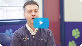 Karingal Veterinary Hospital Testimonial Karingal Veterinary Hospital Testimonial
